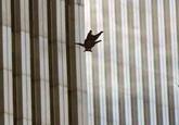 Falling Bear