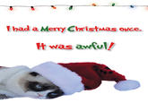 Grumpy Cat