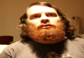 Weev