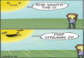 The D
