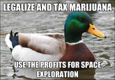 Actual Advice Mallard