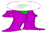 Daily Dose / Piccolo Dick
