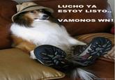 Oye Lucho, El perro del lucho
