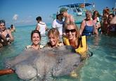 Stingray Photobomb