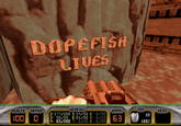 Dopefish
