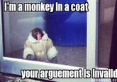 IKEA Monkey