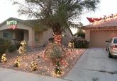 Christmas Light Show Videos