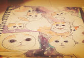 Snoopy the Cat