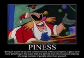 PINESS