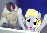 IKEA Monkey