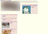 Sandy Hook Elementary School Shooting