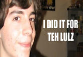 I Did It for the Lulz