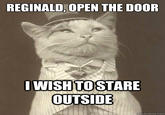 Aristocat