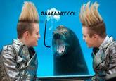 Homophobic Seal
