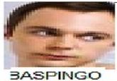 Bazinga