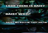 They see me rollin'