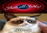 Grumpy Cat