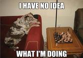 I Have No Idea What I'm Doing