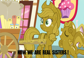 My Little Pony: Friendship is Magic