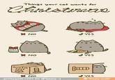 Pusheen
