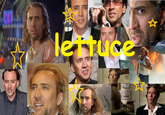 Lettuce / It Says "Never Give Up"