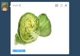 Lettuce / It Says "Never Give Up"