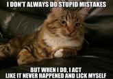 The Most Interesting Cat in the World