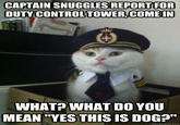 Captain Kitteh