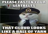 Captain Kitteh