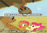 My Little Pony: Friendship is Magic