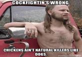 Almost Politically Correct Redneck