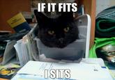 If It Fits I Sits