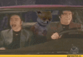 Stoned Fox (Упоротая лиса)