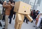 Danbo