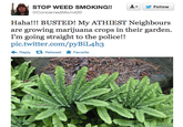 ConcernedMom420 hidden