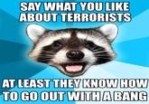 Lame Pun Coon