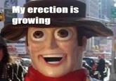 Hentai Woody (変態ウッディー)