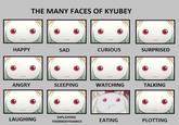 Expression Meme