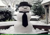 Feel Like a Sir