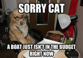 Financial Advice Dog