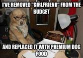 Financial Advice Dog