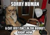 Financial Advice Dog