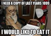 Financial Advice Dog
