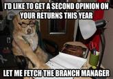 Financial Advice Dog