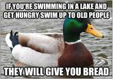 Actual Advice Mallard