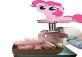 2013 Horse Meat Scandal