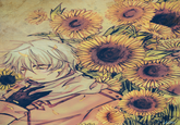 Axis Powers Hetalia