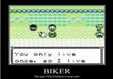 YOLO