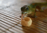 Geckosandcheerios
