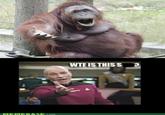Annoyed Picard